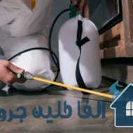 شركة مكافحة حشرات بالدمام