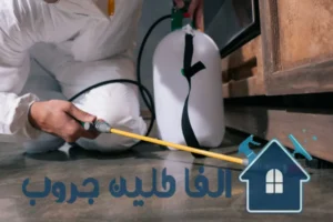 شركة مكافحة حشرات بالدمام